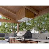 Spruce Outdoor Insert, 48in, LED, SS